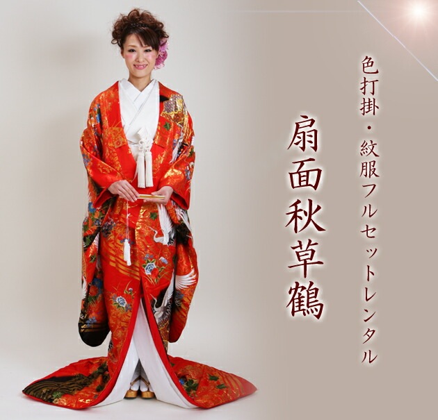 ���ǳݥ�󥿥� �ֿ�/���̽����� NT-704