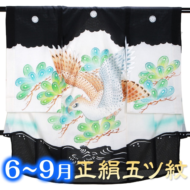 ���� 帡̤��ܻ��� ��󥿥� ��ʪ�͹���/�� �� FALS116 ���� ���� ���ܻ����󥿥� ���� ����줫��