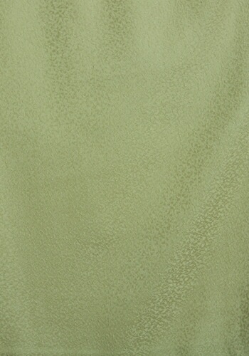 色無地 【単衣】【広幅】 レンタル 6月・9月 〔高級正絹〕 モス