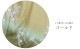 ˬ 󥿥  105Ρ163cm]  ´ȼ ؼ ʪ FAD0050