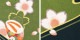 �Ҷ���µ��󥿥� �п� �֤����� �������� NT-140