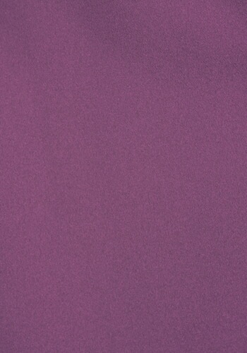 ̵ ñۡڹ 󥿥 69 翧 ܻ Ťֲ ̤ NT-L203