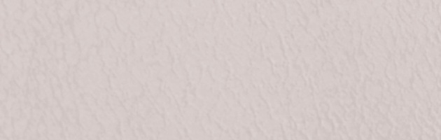 ��̵�� ��󥿥� �� 10���5����� ������� ����С����졼�� ��ʪ ����� ���ܻ��� FDD0073