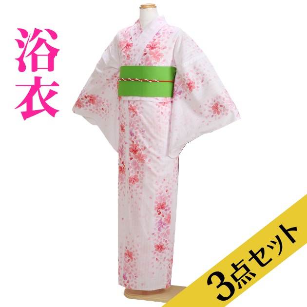 ����� ��󥿥�ۥ�ǥ����� 3�����åȡ���ᡦ�ӡ����̡�nt-y003 ���ԥ󥯿�/��