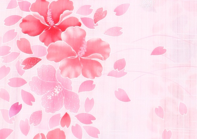 ����� ��󥿥�ۥ�ǥ����� 3�����åȡ���ᡦ�ӡ����̡�nt-y003 ���ԥ󥯿�/��