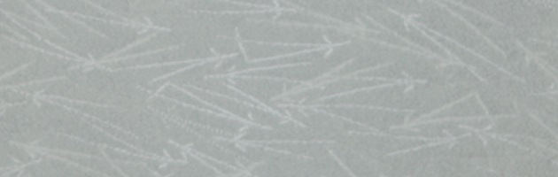 ´ȼ  󥿥 졼 Ĺ158cm,713 NT-muji55