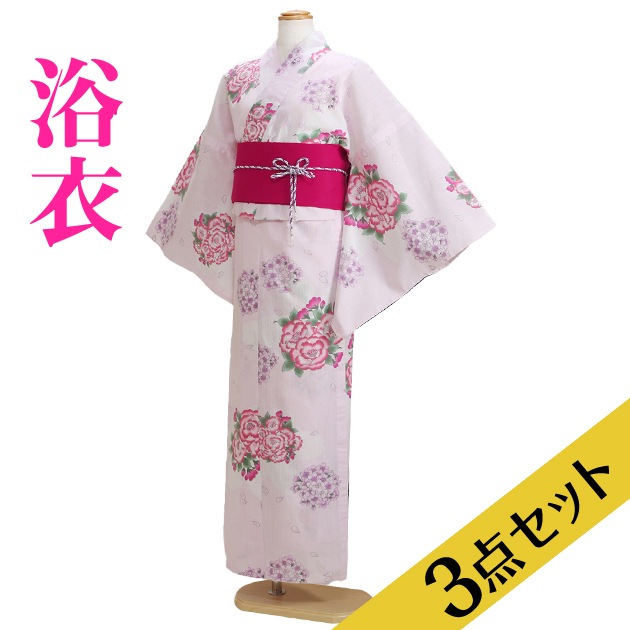 ����� ��󥿥�ۥ�ǥ����� 3�����åȡ���ᡦ�ӡ����̡�nt-y004 ���ԥ󥯿�/��