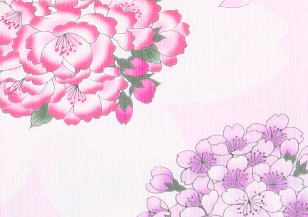 ����� ��󥿥�ۥ�ǥ����� 3�����åȡ���ᡦ�ӡ����̡�nt-y004 ���ԥ󥯿�/��