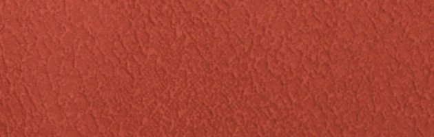 ��̵�� ��󥿥� �� 10���5����� ������� ��󥬿� ��ʪ ����� ���ܻ��� FDD0076