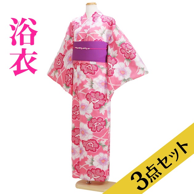 ����� ��󥿥�ۥ�ǥ����� 3�����åȡ���ᡦ�ӡ����̡�nt-y005 �ԥ󥯿�/��