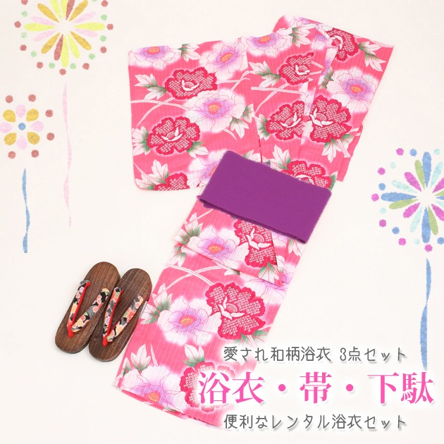 ����� ��󥿥�ۥ�ǥ����� 3�����åȡ���ᡦ�ӡ����̡�nt-y005 �ԥ󥯿�/��