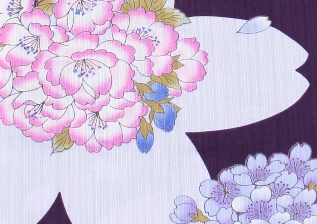 ����� ��󥿥�ۥ�ǥ����� 3�����åȡ���ᡦ�ӡ����̡�nt-y006 �翧/��