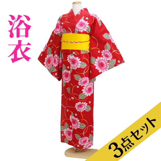 ����� ��󥿥�ۥ�ǥ����� 3�����åȡ���ᡦ�ӡ����̡�nt-y007 �ֿ�/�Ҥޤ��