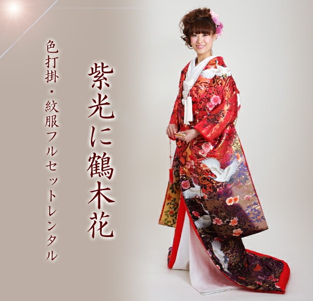 ���ǳݥ�󥿥� �֡��硦����/��������ڲ� NT-811