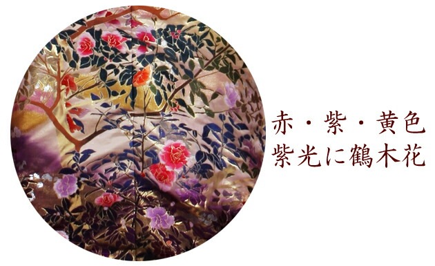 ���ǳݥ�󥿥� �֡��硦����/��������ڲ� NT-811