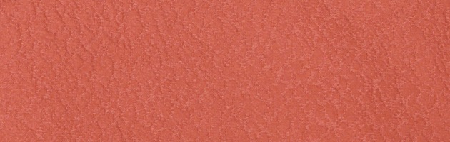 2_000000002441.jpg?1744706314