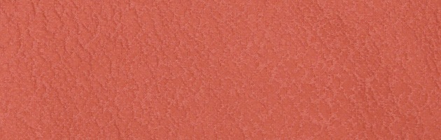 ̵ 󥿥  105  󥬿 ʪ  ܻ FDD0081