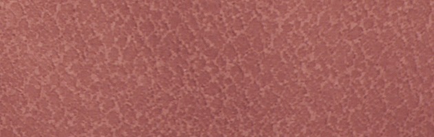 ��̵�� ��󥿥� �� 10���5����� ������� ���뤤�翧 ��ʪ ����� ���ܻ��� FDD0084