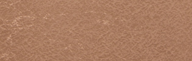 ��̵�� ��󥿥� �� 10���5����� ������� �����㿧 ��ʪ ����� ���ܻ��� FDD0088