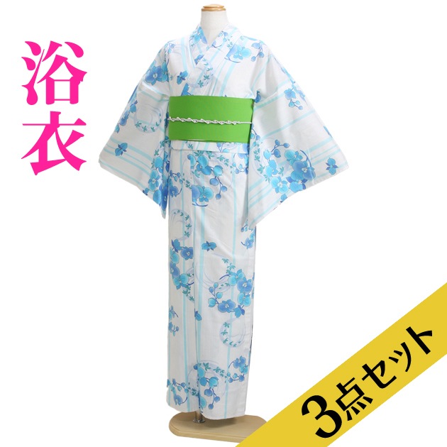 ����� ��󥿥�ۥ�ǥ����� 3�����åȡ���ᡦ�ӡ����̡�nt-y011 ���Ϥ˿忧 / �֡����ȥ饤������