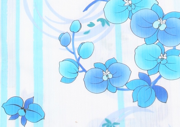 ����� ��󥿥�ۥ�ǥ����� 3�����åȡ���ᡦ�ӡ����̡�nt-y011 ���Ϥ˿忧 / �֡����ȥ饤������