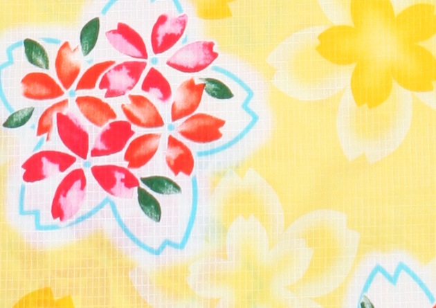  󥿥ۥǥ 3åȡᡦӡ̡nt-y012 /