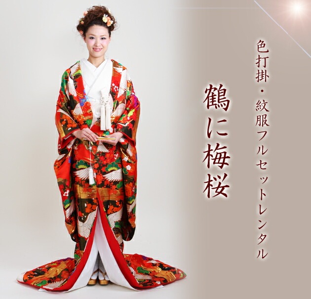 ���ǳݥ�󥿥� �ֿ�/����ߺ� NT-707