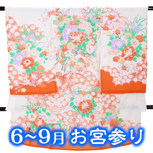  帡̤ܻ 󥿥 ʪֿ/ּ FAMS138   ܻ󥿥  줫