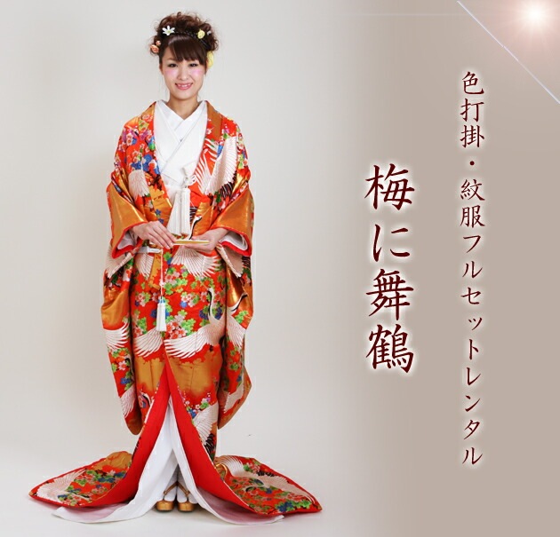 ���ǳݥ�󥿥� �ֿ�/�ߤ����� NT-164