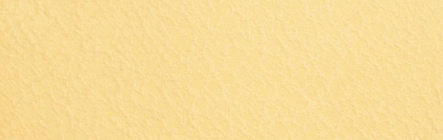 ´�ȼ� �� ��󥿥� ���꡼�࿧ ��Ĺ��160cm,7���13�� NT-muji72