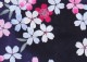  󥿥ۥǥ 3åȡᡦӡ̡nt-y015 /