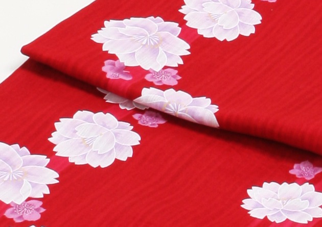 ����� ��󥿥�ۥ�ǥ����� 3�����åȡ���ᡦ�ӡ����̡�nt-y016 �ֿ�/��