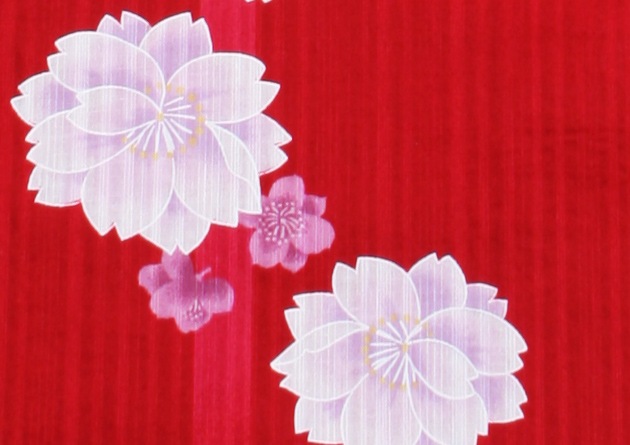 ����� ��󥿥�ۥ�ǥ����� 3�����åȡ���ᡦ�ӡ����̡�nt-y016 �ֿ�/��