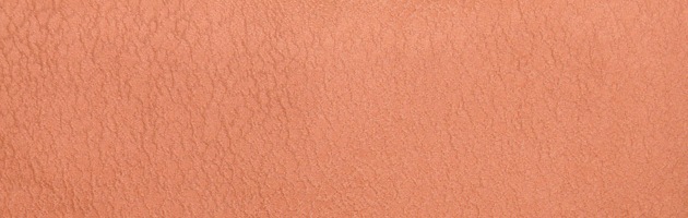 ̵ 󥿥  105  󥬿 ʪ  ܻ FDD0069