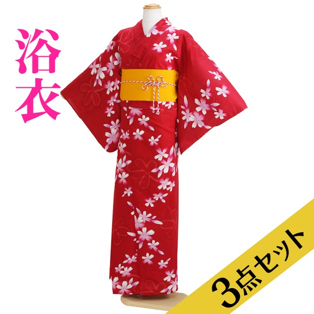 ����� ��󥿥�ۥ�ǥ����� 3�����åȡ���ᡦ�ӡ����̡�nt-y017 �ֿ�/��