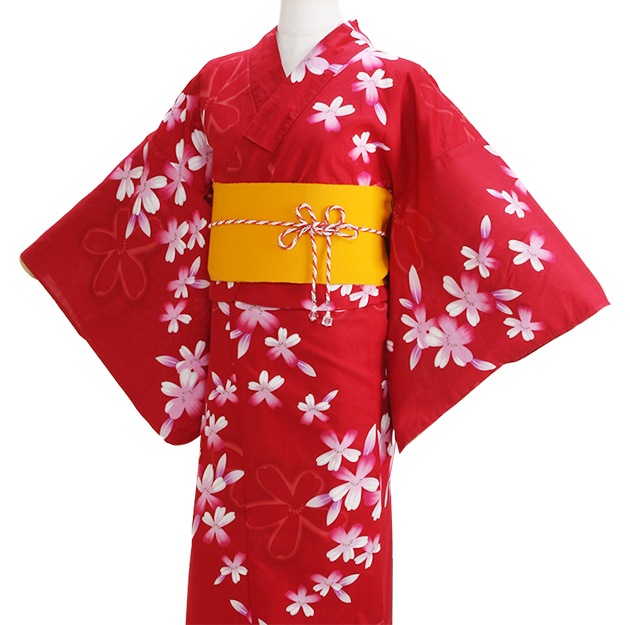 ����� ��󥿥�ۥ�ǥ����� 3�����åȡ���ᡦ�ӡ����̡�nt-y017 �ֿ�/��