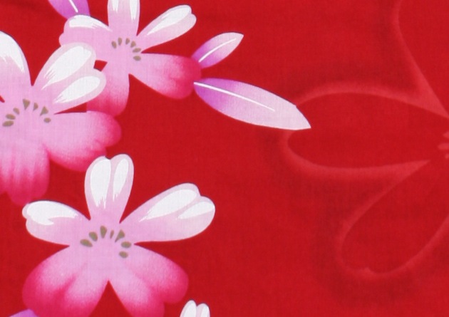 ����� ��󥿥�ۥ�ǥ����� 3�����åȡ���ᡦ�ӡ����̡�nt-y017 �ֿ�/��