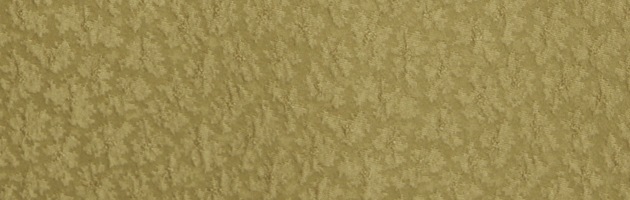 ´�ȼ� �� ��󥿥� ���ڿ� ��Ĺ��160cm,7���13�� NT-muji77