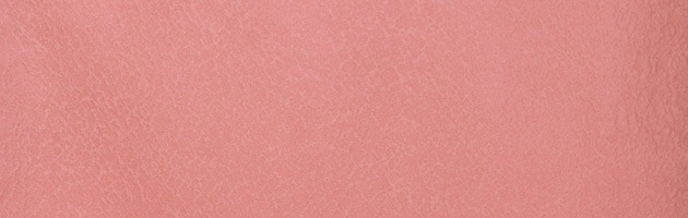 ̵ 󥿥  105   ʪ  ܻ FDD0070
