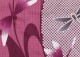  󥿥ۥǥ 3åȡᡦӡ̡nt-y018 /Ȥ