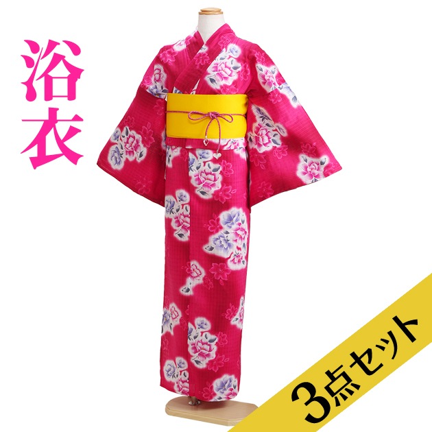 ����� ��󥿥�ۥ�ǥ����� 3�����åȡ���ᡦ�ӡ����̡�nt-y020 ǻ�ԥ󥯿�/��