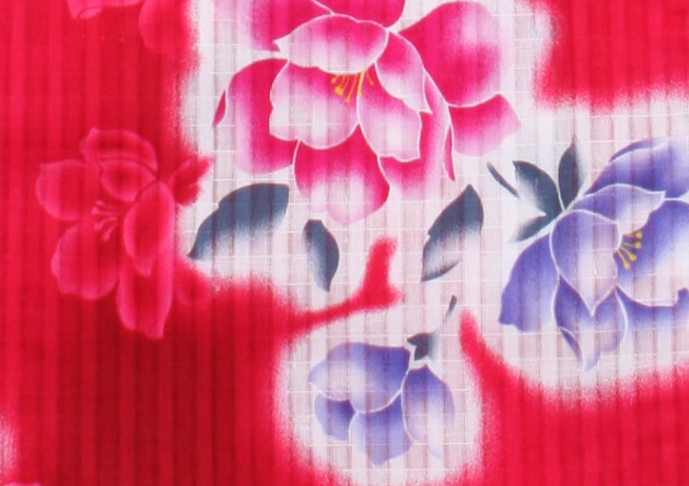 ����� ��󥿥�ۥ�ǥ����� 3�����åȡ���ᡦ�ӡ����̡�nt-y020 ǻ�ԥ󥯿�/��