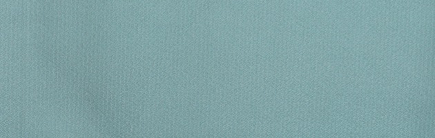 ̵ 󥿥  105  ĥ졼 ʪ  ܻ FDD0085