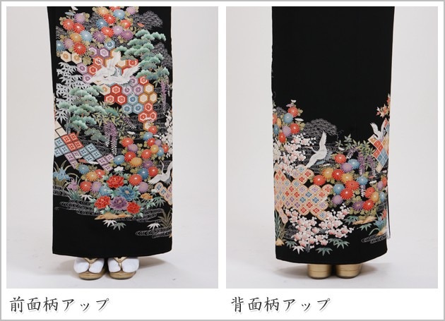 αµ 󥿥145cm150cm/711̡ͷ뺧 ʪ󥿥 FAAS287