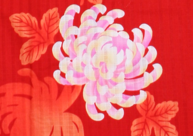 ����� ��󥿥�ۥ�ǥ����� 3�����åȡ���ᡦ�ӡ����̡�nt-y025 ���ֿ�/��