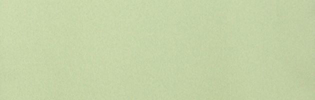 ´ȼ  󥿥  Ĺ160cm,713 NT-muji90