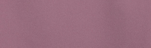 ��̵�� ��󥿥� �� 10���5����� �翧 ��ʪ ����� ���ܻ��� FDD0094