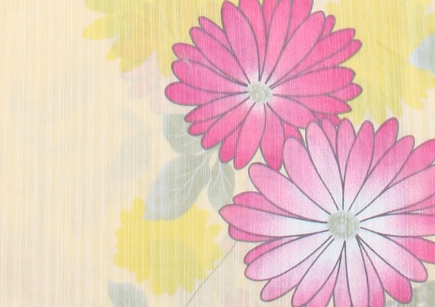  󥿥ۥǥ 3åȡᡦӡ̡nt-y029 /