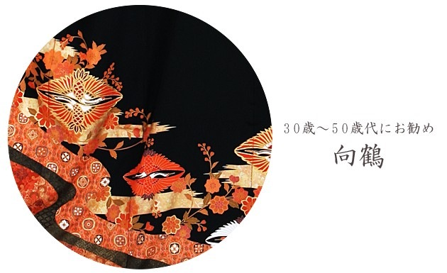 αµ 󥿥145cm160cm/713̡ͷ뺧 ʪ󥿥 FAA0817