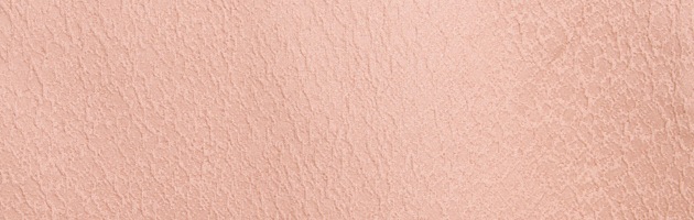 ��̵�� ��󥿥� �� ���� 10���5����� ������� �ԥ󥯿� ��ʪ ����� ���ܻ��� FDDL103